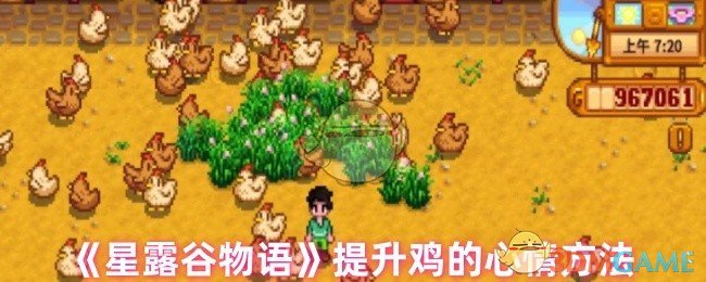 《星露谷物语》提升鸡的心情方法