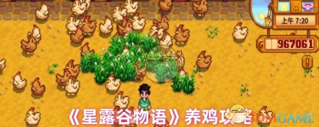 《星露谷物语》养鸡攻略