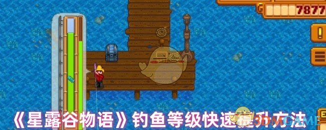 《星露谷物语》钓鱼等级快速提升方法