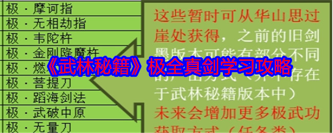《武林秘籍》极全真剑学习攻略