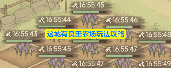 这城有良田农场玩法攻略