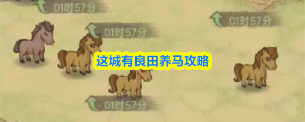 这城有良田养马攻略