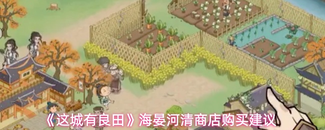 《这城有良田》海晏河清商店购买建议