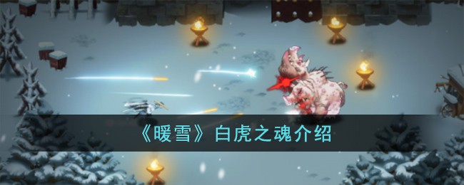 《暖雪》白虎之魂介绍