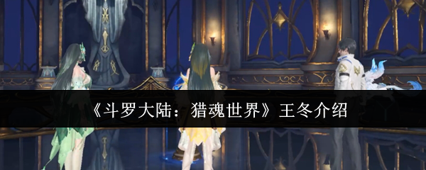 《斗罗大陆:猎魂世界》王冬介绍