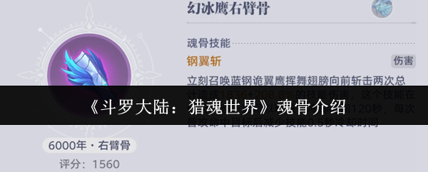 《斗罗大陆:猎魂世界》魂骨介绍