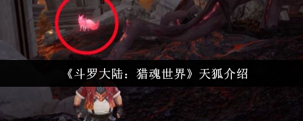 《斗罗大陆:猎魂世界》天狐介绍