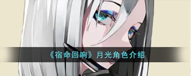 《宿命回响》月光角色介绍