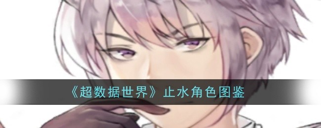 《超数据世界》止水角色图鉴