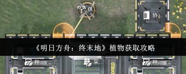 《明日方舟:终末地》植物获取攻略
