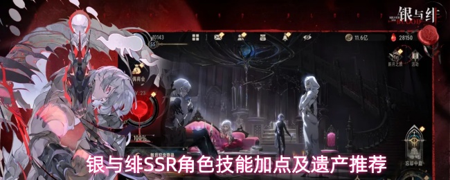 银与绯SSR角色技能加点及遗产推荐