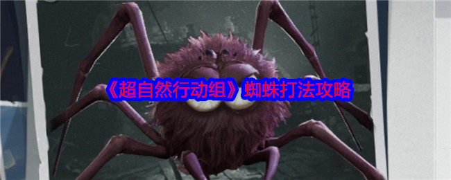 《超自然行动组》蜘蛛打法攻略