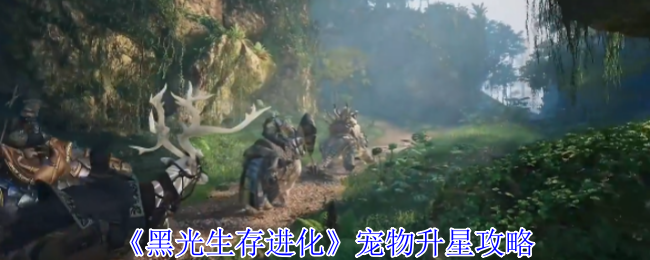 《黑光生存进化》宠物升星攻略