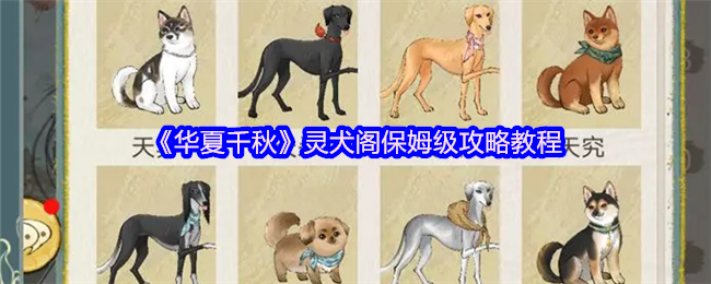 《华夏千秋》灵犬阁保姆级攻略教程