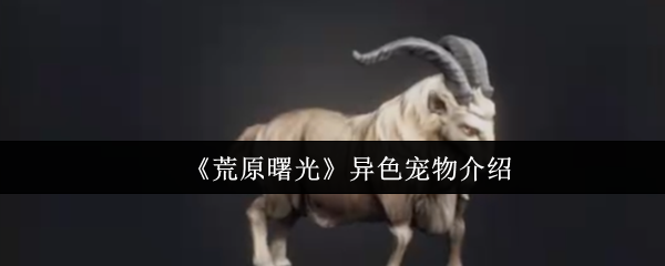 《荒原曙光》异色宠物介绍