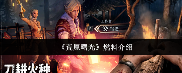 《荒原曙光》燃料介绍