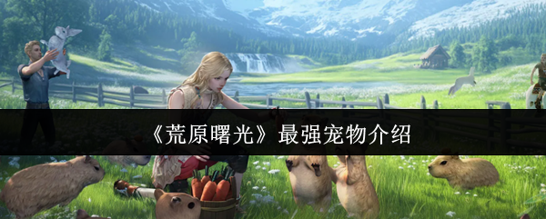 《荒原曙光》最强宠物介绍