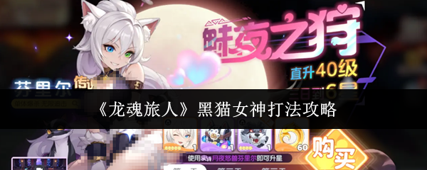 《龙魂旅人》黑猫女神打法攻略