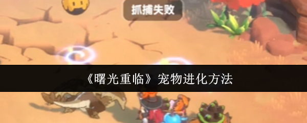 《曙光重临》宠物进化方法