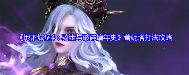 《地下城堡4:骑士与破碎编年史》蕾妮塔打法攻略