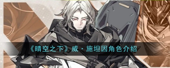 《晴空之下》威·施坦因角色介绍