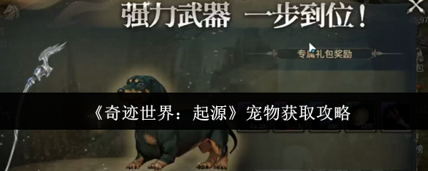 《奇迹世界:起源》宠物获取攻略