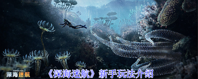 《深海迷航》幽灵利维坦击杀方法介绍