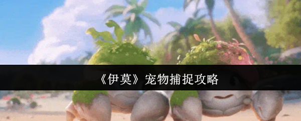 《伊莫》宠物捕捉攻略
