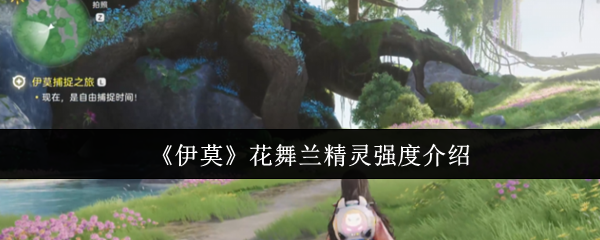《伊莫》花舞兰精灵强度介绍