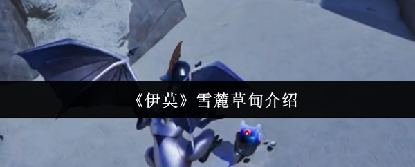 《伊莫》雪麓草甸介绍