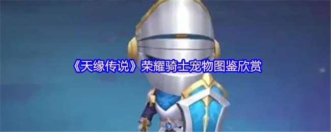 《天缘传说》荣耀骑士宠物图鉴欣赏