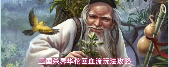三国杀界华佗回血流玩法攻略