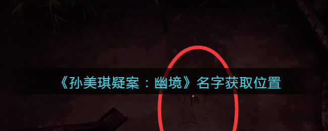 《孙美琪疑案:幽境》五级线索——名字