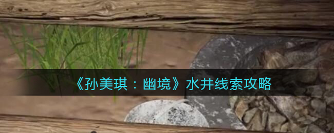 《孙美琪疑案:幽境》五级线索攻略——水井