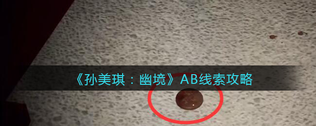 《孙美琪疑案:幽境》五级线索攻略——AB