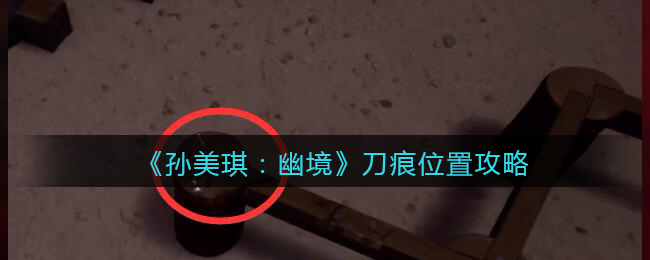 《孙美琪疑案：幽境》四级线索攻略——刀痕