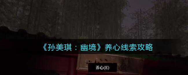 《孙美琪疑案:幽境》四级线索攻略——养心