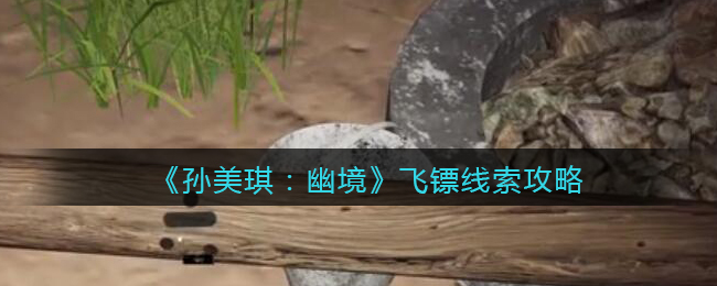 《孙美琪疑案:幽境》四级线索攻略——飞镖