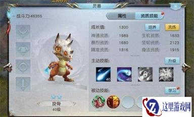 镇魔曲手游灵兽的加成 新手宠物培养技巧
