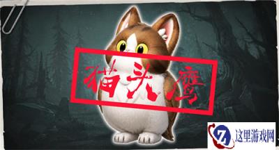 超自然行动组猫头鹰捕捉攻略 猫头鹰怎么捕获