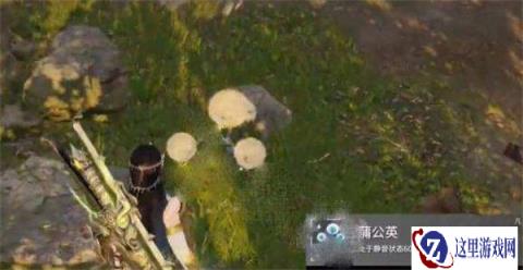 永劫无间手游蒲公英在哪 苟分必备神器