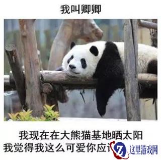 顾惜朝太有牌面 遇见逆水寒认领大熊猫为他庆生