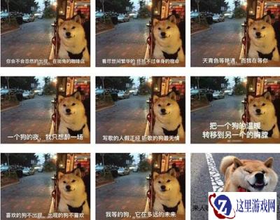 御龙在天手游脱单秘籍 单身狗必备法宝