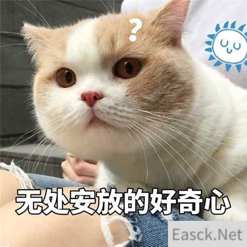 快乐就完事！看网元圣唐如何打造大众喜爱的IP