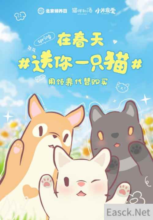 猫咪和汤×北京领养日×小米食堂 送你一只猫